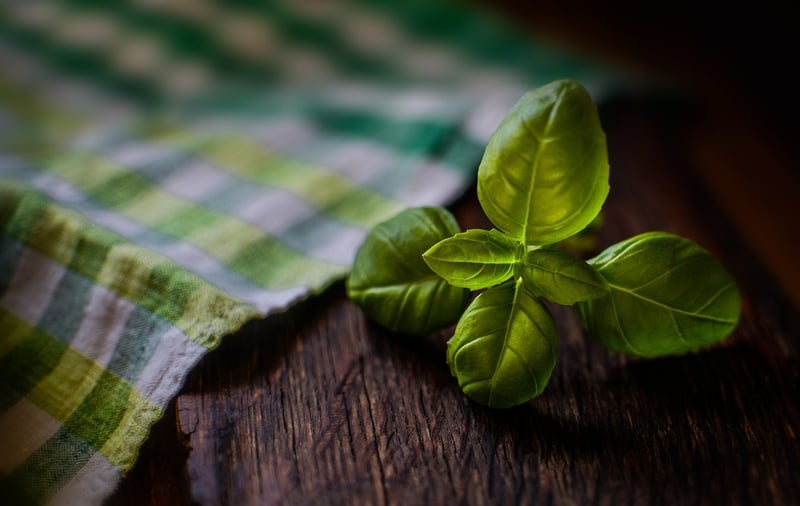 Fresh herbs